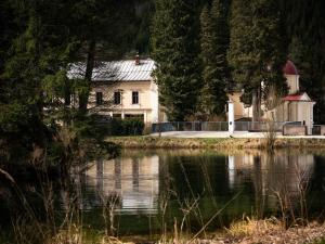 Příroda nedaleko luxury tent + 12 fotografií