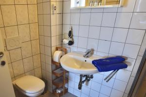 ein Bad mit einem Waschbecken und einem WC in der Unterkunft Golf-Appartement in Gleisdorf