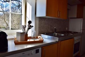 encimera de cocina con fregadero y ventana en Golf-Appartement en Gleisdorf