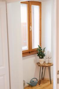 a room with a window and a table with a plant at Guest House Rosemary in Piran