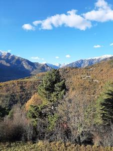 a group of trees on a hill with mountains at Maison Bohème Vesubie in La Bollène-Vésubie