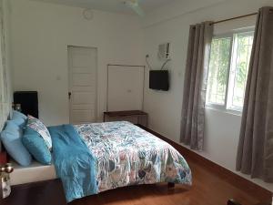 ein Schlafzimmer mit einem Bett mit blauen Kissen und einem Fenster in der Unterkunft Pentaqua -Dineros Guest House in Irosin