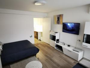 un soggiorno con letto e TV a schermo piatto di Ema Studio Apartman a Karlovac