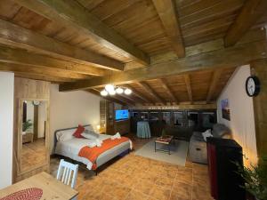 - une chambre avec un lit et une télévision dans l'établissement Atico El Miraviñas, à Labastida