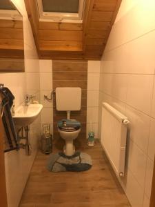 Baño pequeño con aseo y lavamanos en Ferienwohnung 1000 Krauthof, en Laimbach am Ostrong