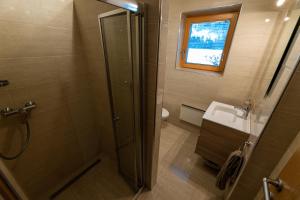 een badkamer met een douche en een wastafel bij Apartma Lana in Mojstrana