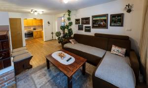Kuchyň nebo kuchyňský kout v ubytování Apartma Lana