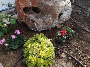 Vonkajšia záhrada v ubytovaní Entire Villa Phenomena