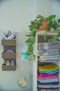 una mensola con asciugamani e una pianta in vaso in bagno di Loggos Sweet Home a Lixouri