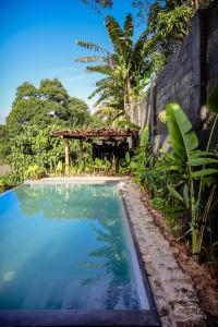 a swimming pool in a garden with a pergola at Banana Bunks Kandy in Kandy