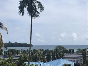 a palm tree in front of a view of the ocean at Andaman Vacations Home in Port Blair