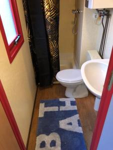 een badkamer met een toilet, een wastafel en een tapijt bij LE CHALET DE CANDICE TOUT CONFORT PECHE COMPRISE in Saint-Michel