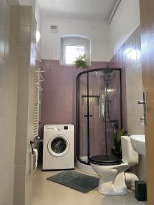 a bathroom with a washing machine and a toilet at Apartament z kominkiem in Piechowice