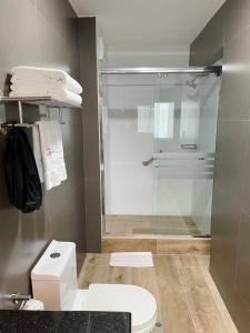 リマにあるハビタット ホテルのバスルーム(ガラス張りのシャワー、トイレ付)