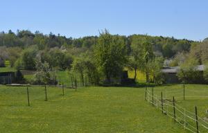 Ein Feld mit einem Zaun im Gras in der Unterkunft Ferienwohnung Elisabeth in Egloffstein