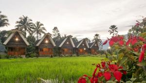 Imagen de la galería de Toraja Misiliana Hotel, en Rantepao