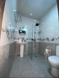 a bathroom with a shower and a sink and a toilet at GOLDEN STAR KAZBEGI in Kazbegi