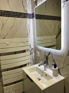 ein Bad mit einem Waschbecken und einem Spiegel in der Unterkunft Paris City Flat 51M carrée Appt 105 F2 Grd Paris in Alfortville