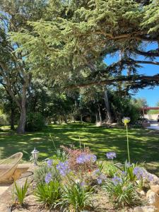 un jardín con flores púrpuras en un parque en Mas Hinaiti - Suite romantique avec Spa et écran géant de cinéma en Montpellier