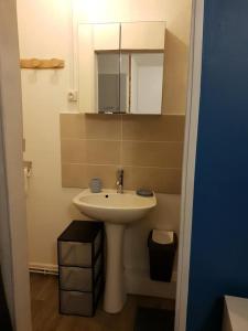 ein Badezimmer mit einem weißen Waschbecken und einem Spiegel in der Unterkunft studio jonquille in Le Tréport