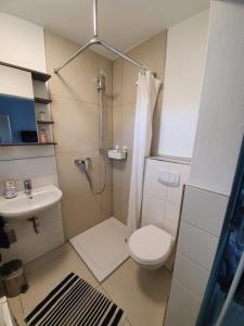 a bathroom with a shower and a toilet and a sink at Ferienwohnung Raiffeisenstraße - Obernburg in Obernburg am Main