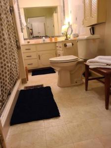 a bathroom with a toilet and a sink at Cozy, Cute, Private Ozark Suite 5 Mins to Hospital in Ozark