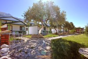 a row of houses with a tree in the yard at Chalet Ambel in Dhërmi