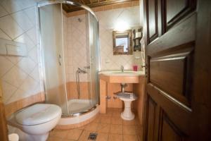 a bathroom with a shower and a toilet and a sink at Archontiko Tsiboni in Elati