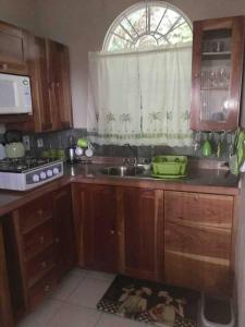 a kitchen with wooden cabinets and a sink and a window at Immaculate 1-Bed Villa in Ocho Rios in Ocho Rios