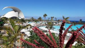 Blick auf den Pool im Resort mit Blumen in der Unterkunft Perfectly located apartment with pool in Playa de las Americas