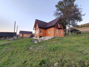 dom na szczycie trawiastego wzgórza z koniem w obiekcie Stanica Karpacka 4x4 w mieście Mohnate