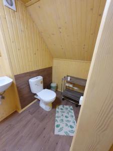 a bathroom with a toilet and a sink at Stanica Karpacka 4x4 in Mohnate