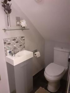 a bathroom with a white toilet and a sink at The Contemporary Studio in Bracknell +9 photos