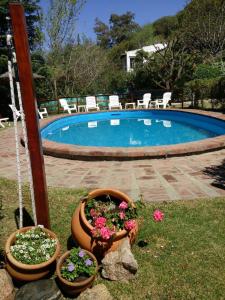 a swimming pool with some flowers in pots in the grass at Terrazas de Cruz Chica. in La Cumbre