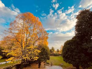 Zahrada ubytování Ca' Settecento "Villa Cavazza Querini"