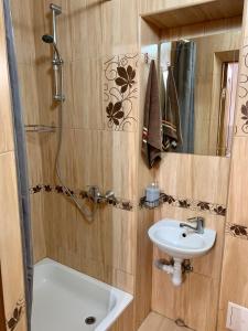 a bathroom with a sink and a toilet and a shower at Ніч над Карпатами in Slavske