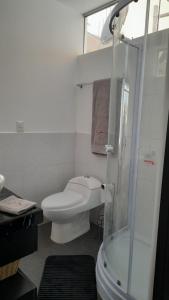 a white bathroom with a toilet and a shower at Casablanca 2 in Tacna +15 photos