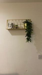 a shelf on a wall with a plant on it at DealHouse F7- Apartments in Huddersfield