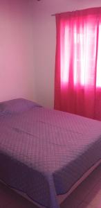 een slaapkamer met een bed met een roze gordijn bij Casa dos dormitorios en excelente ubicación in San Rafael