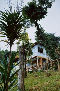 a house on a hill with a palm tree at Sensorial Macacos in Macacos