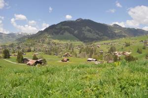 Gallery image of Alpenchalet Weidhaus Gstaad in Gstaad +30 photos