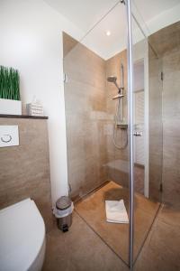 a bathroom with a shower and a toilet at Pension An Bord in Varel