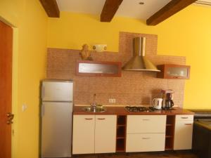 a kitchen with a refrigerator and a sink at Villa Rosana in Rab