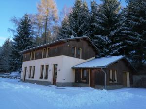 a house with snow on the ground in front of trees at Apartmány pod vlekem in Horní Maršov