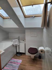 a bathroom with a toilet and a skylight at Penzión Encián in Tatranská Lomnica +55 photos