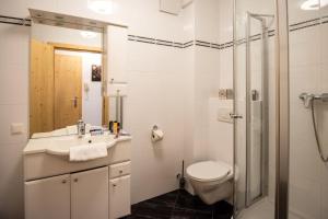 a bathroom with a toilet and a sink and a shower at Apartmenthaus HAUS Gipfelglück Apartment KUAFSTOA in Haus im Ennstal