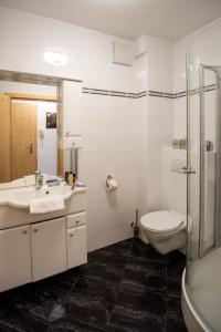 a bathroom with a toilet and a sink and a shower at Apartmenthaus HAUS Gipfelglück Apartment KUAFSTOA in Haus im Ennstal