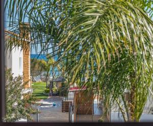 eine Palme vor einem Gebäude in der Unterkunft Ayia Napa Ionion Seaside Villa in Ayia Napa