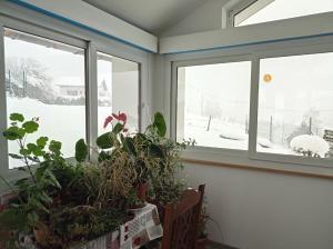 Galeriebild der Unterkunft Les Clés de XOULCES in Cornimont