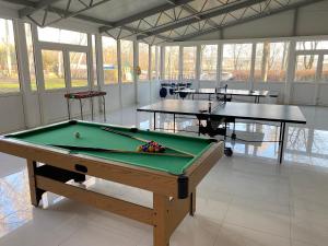 Tisza Sport Hotel tesisinde bir bilardo masası